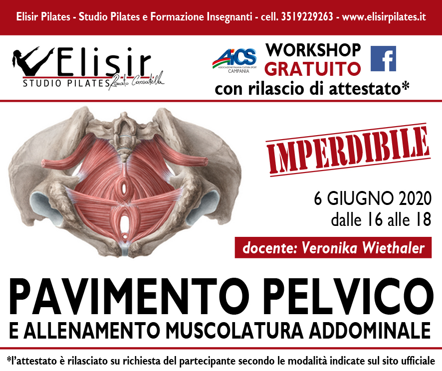 Pavimento Pelvico Elisir Pilates